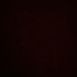 Meet your Posher, Shane